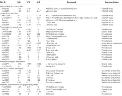 Combined Metabolome and Transcriptome Analyses of Young, Mature, and Old Rhizome Tissues of Zingiber officinale Roscoe